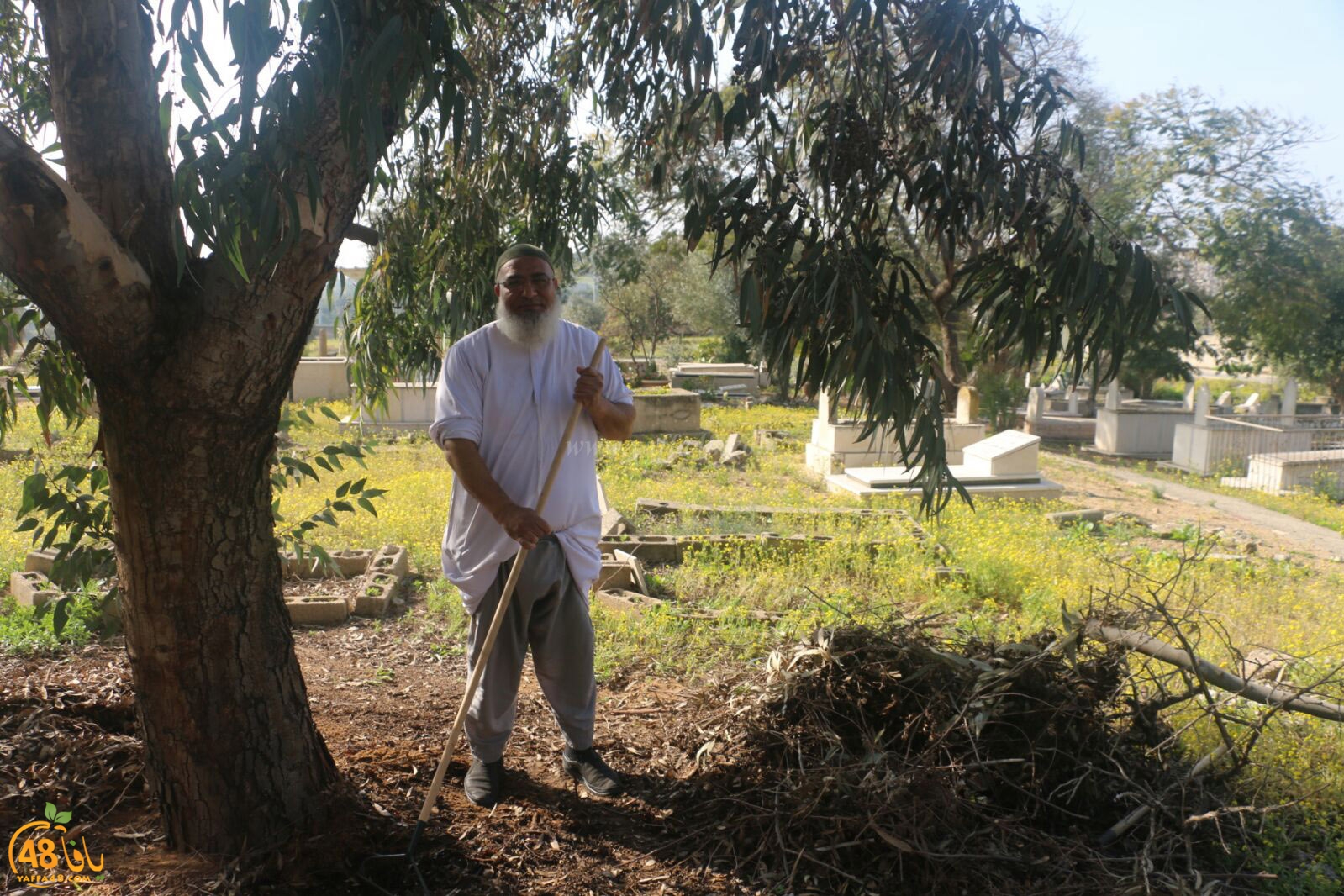 taso 23 tendedf (55).jpg